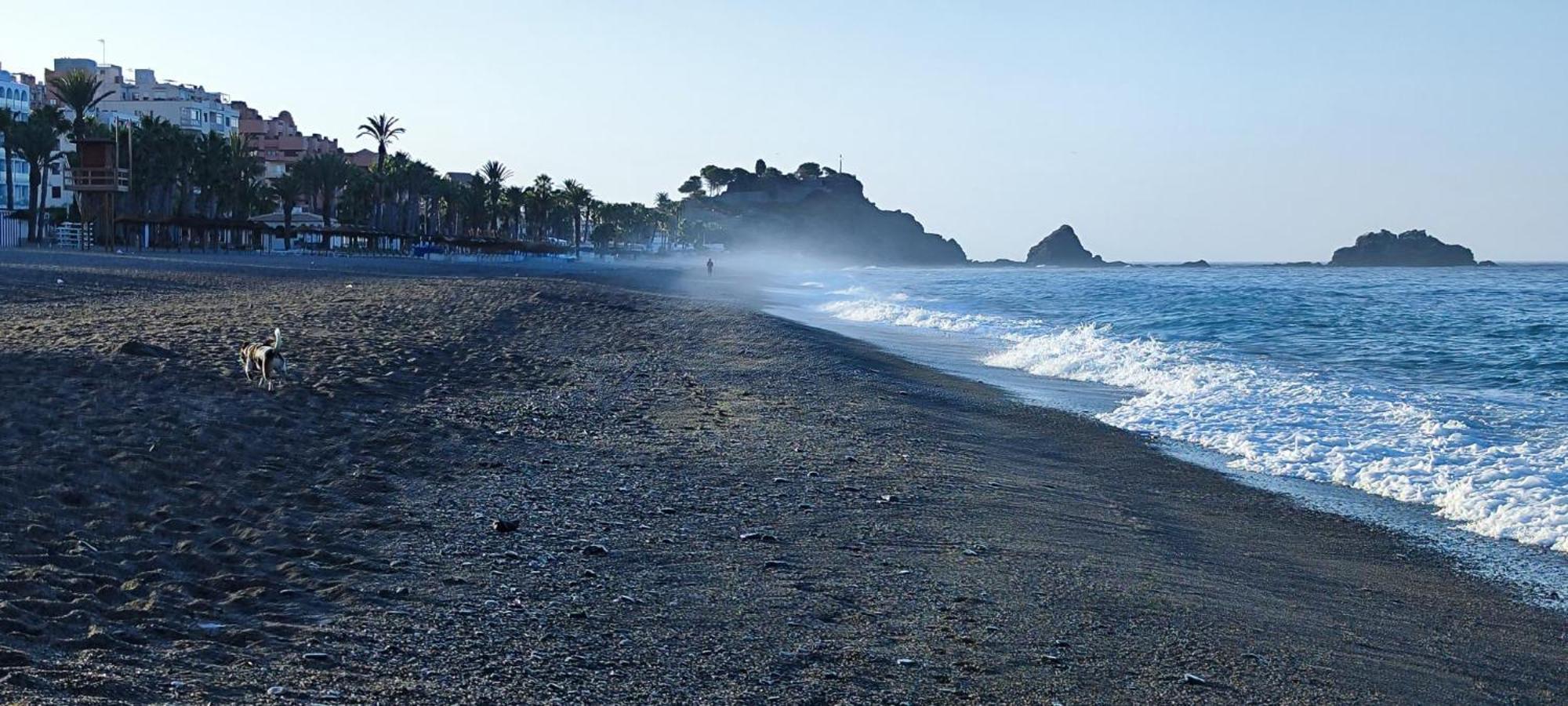 Fantástico Estudio en 1a Línea de Playa con Piscina Almuñécar Exterior foto